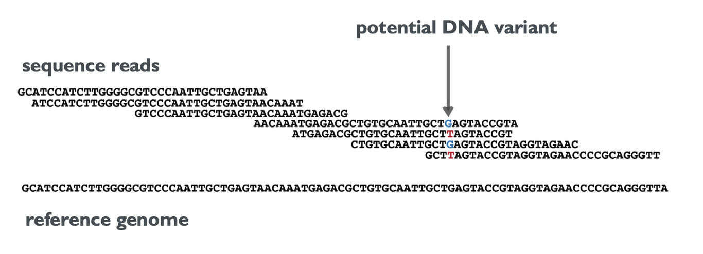 Coverage and dna variants