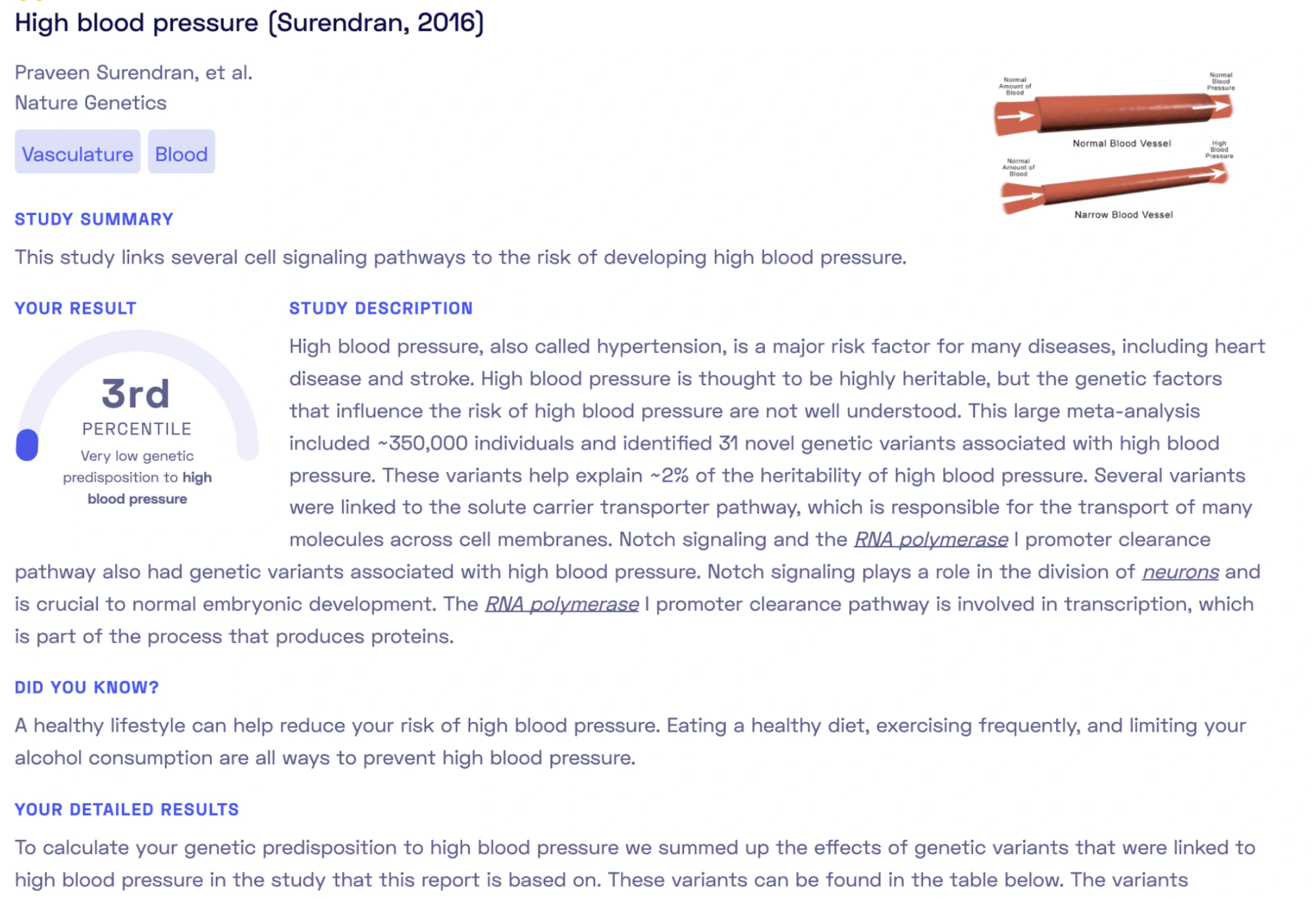 Blood pressure report overview